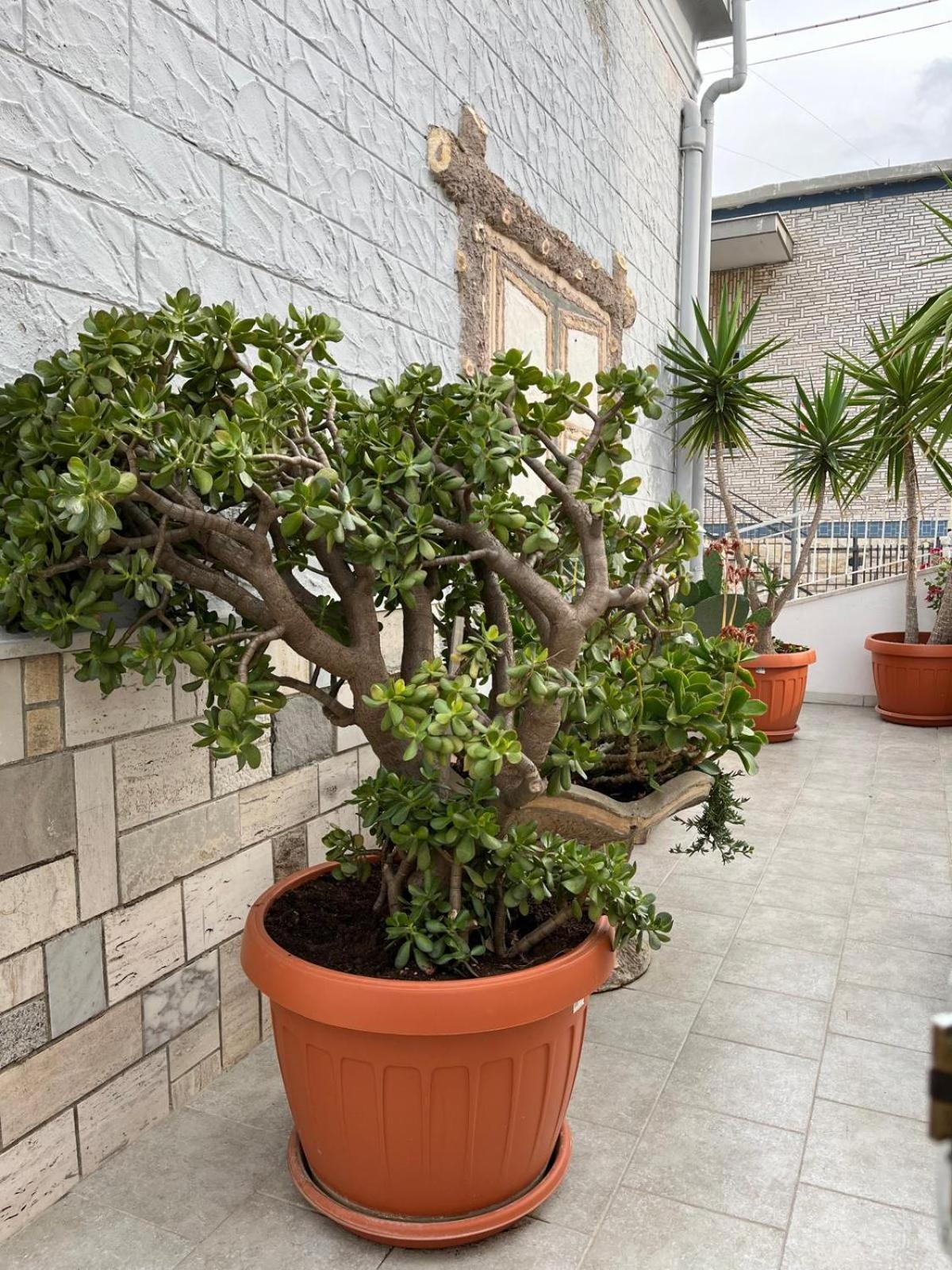 바리 Casa Myda 아파트 외부 사진